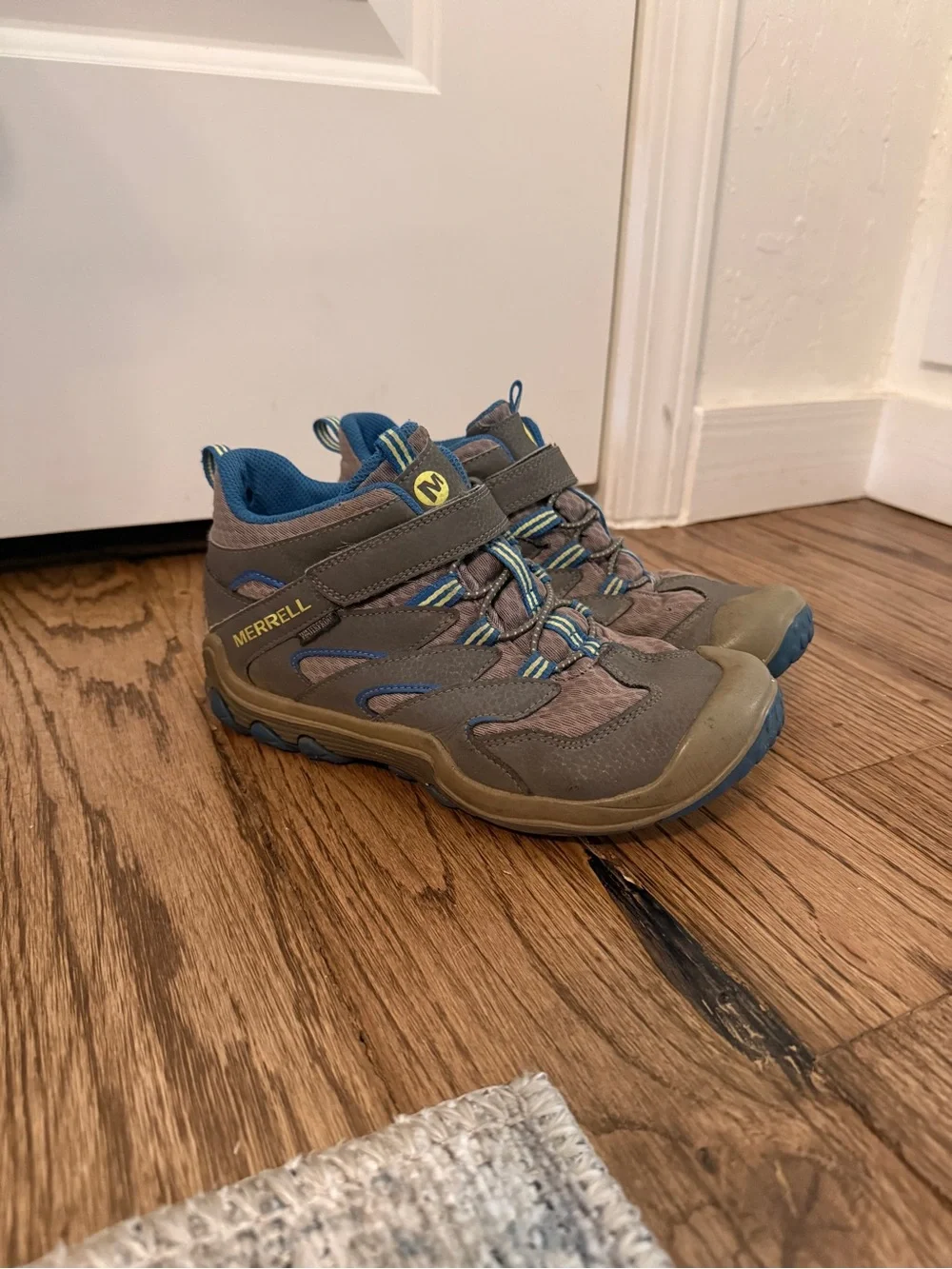 Merrell Chameleon 7 Mid Hiking Boot